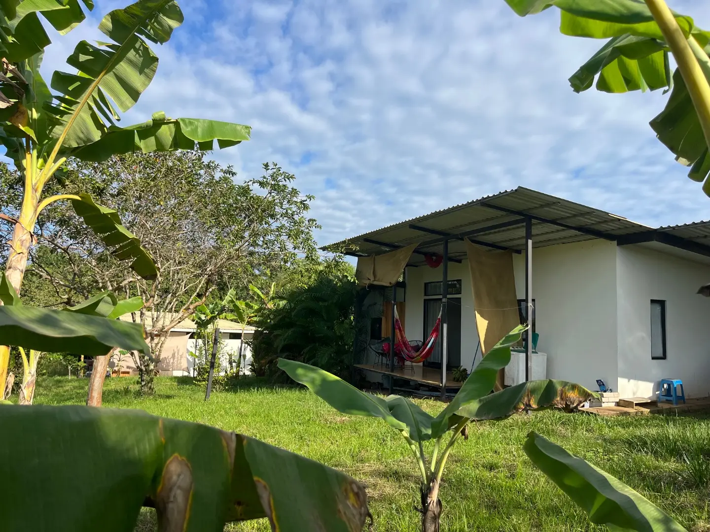 Two New Homes Near Santa Teresa - Income Property in Delicias  - image 6