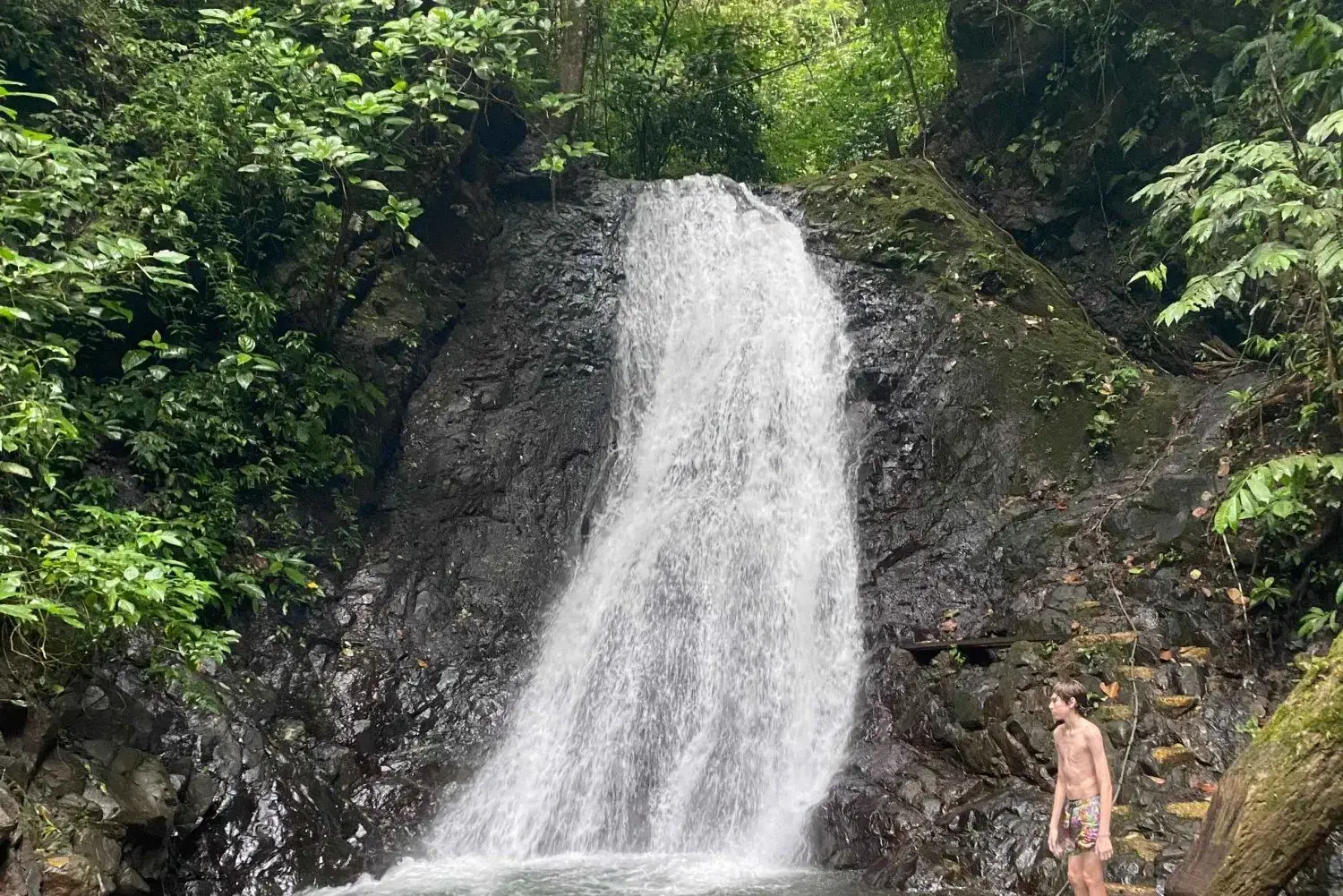 Strategically Located  Lot in Las Monas, Jacó – Near Beaches, Waterfalls & All Amenities - image 8