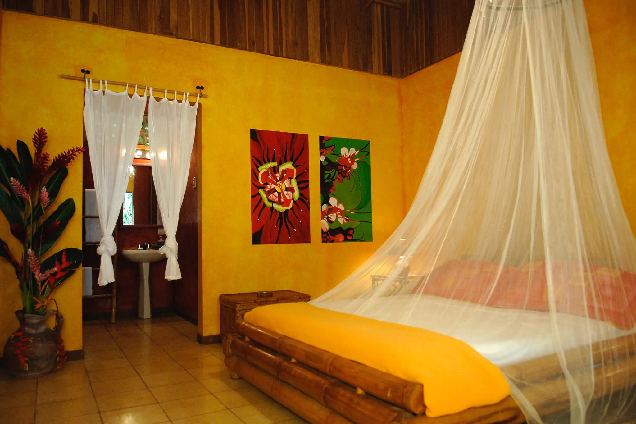 Nearly 90 Hectares of Untouched Jungle Beauty with Stunning Ocean Views, Steps from the Beach in Costa Rica’s Blue Zone. - image 12