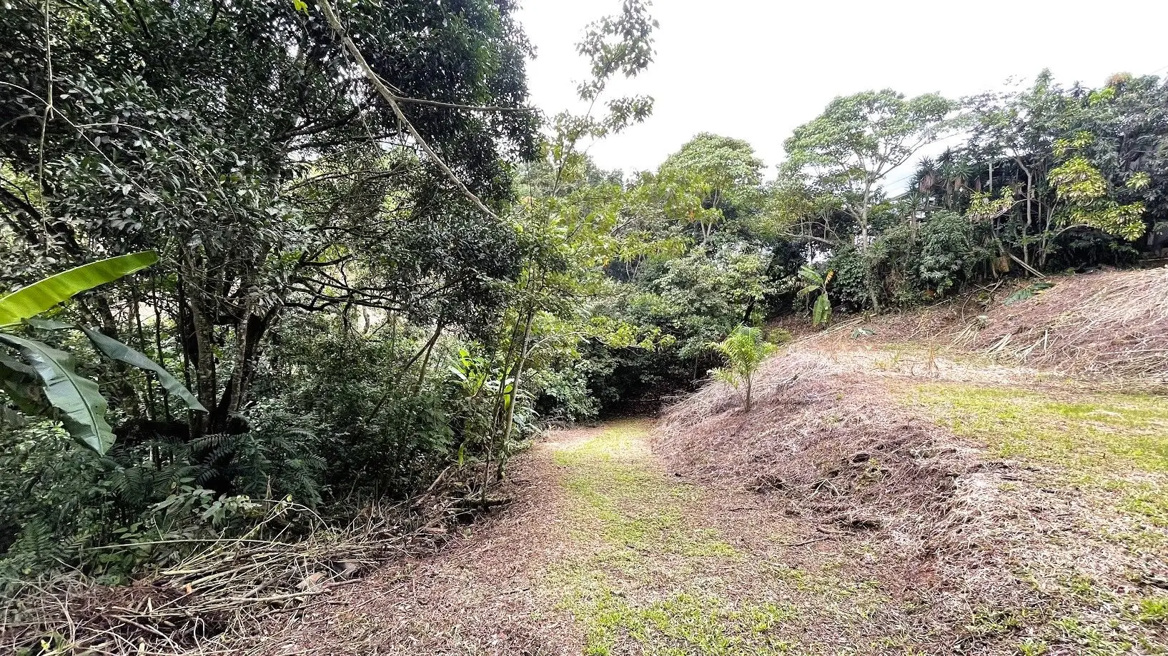 LAND FOR SALE IN SAN MIGUEL, NARANJO  - image 6