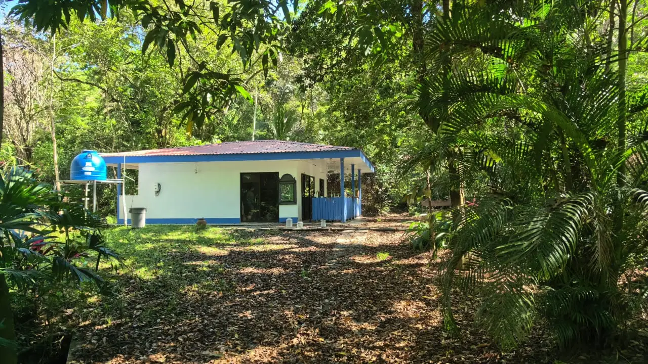 Prime Property for Sale in Mal País, Santa Teresa – Walking Distance to the Beach - image 2