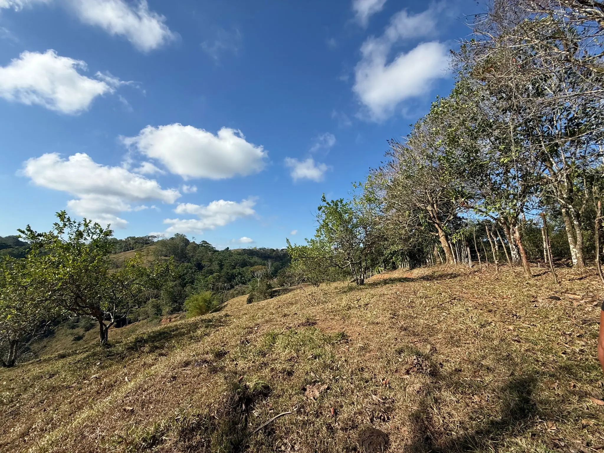 Eco-Luxury Mountain Santuary  11.48 Hectares of Pristine Paradise: Lush Forest, River & Farm Potential in Arenal Puriscal , San Jose  - image 10