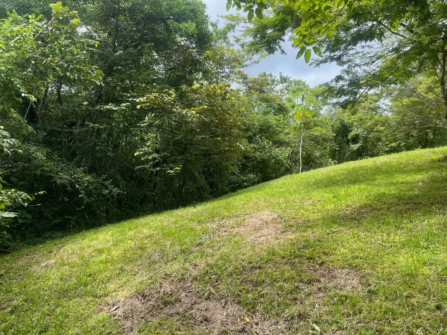 Beautiful Ready to Build Lot in Delicias,  Great Price with Project and Permits included - image 14