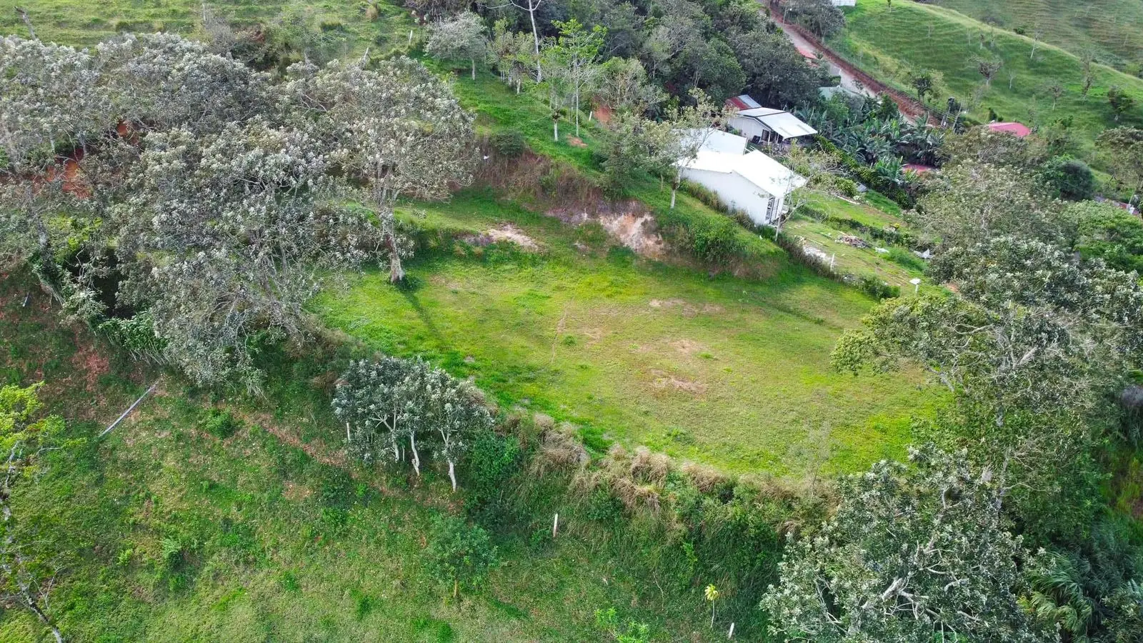Expansive 2500 sqm Land in Santiago, San Ramón, Costa Rica - image 3