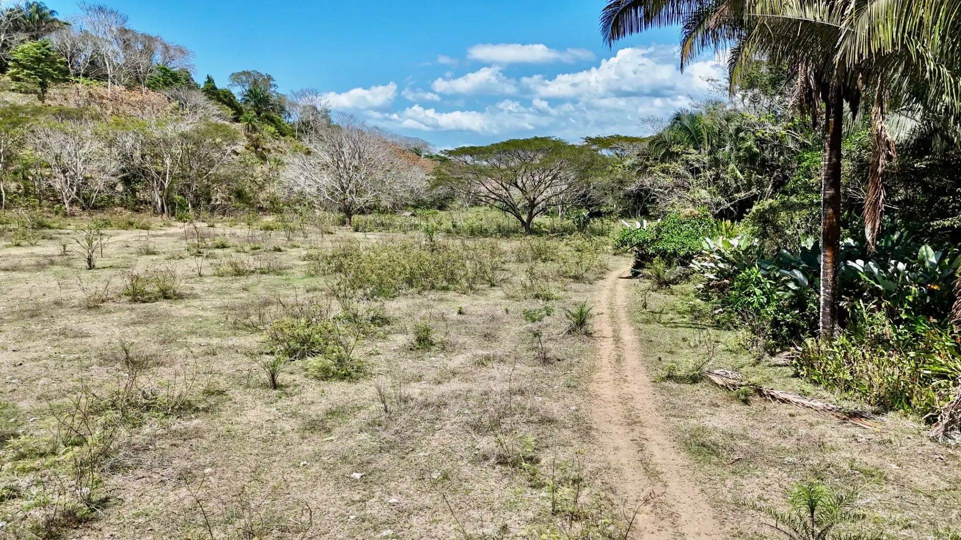 Central Pacific Oceanfront Resort Development Site | 111.9 Acres - image 7