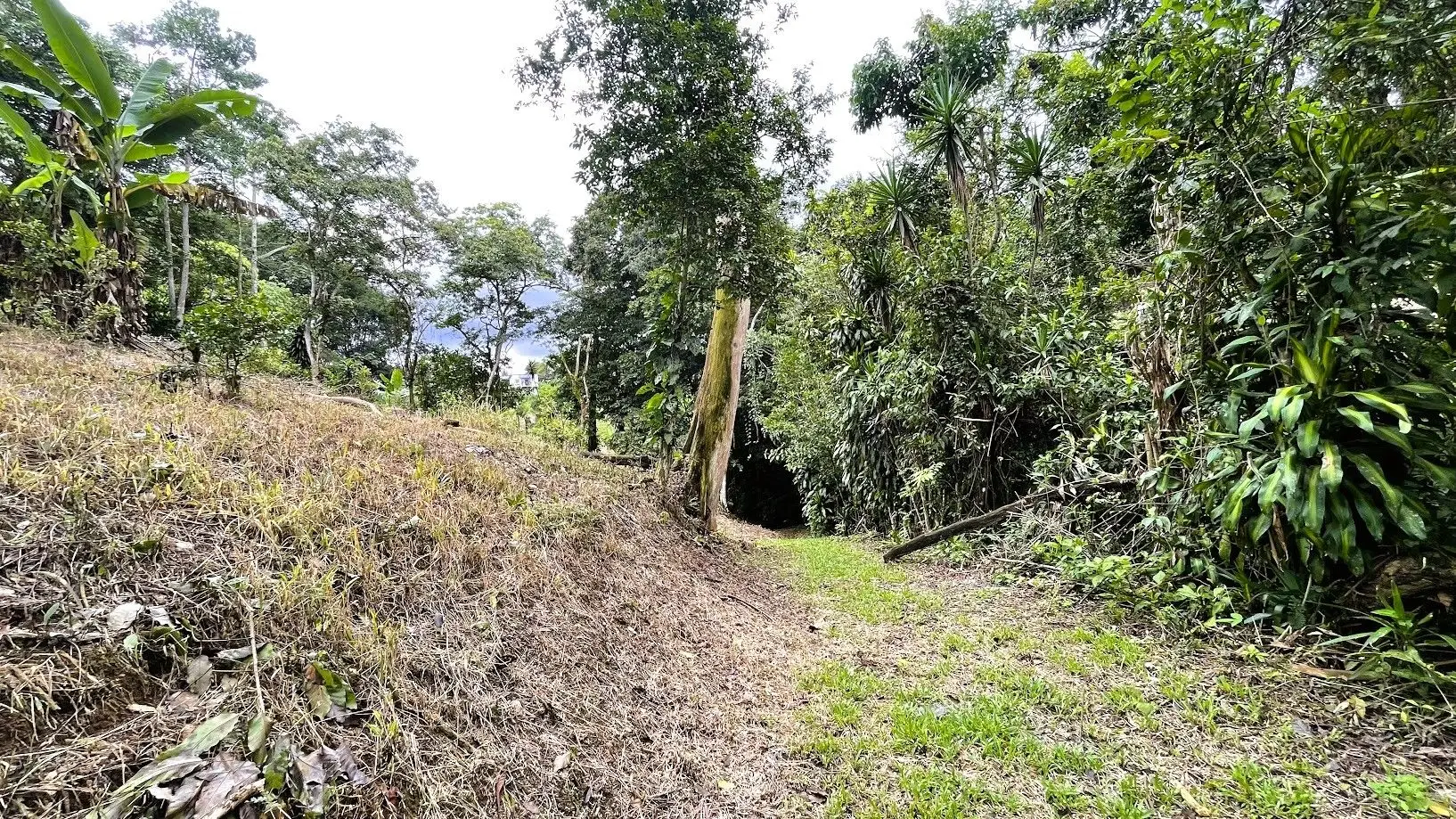 LAND FOR SALE IN SAN MIGUEL, NARANJO  - image 15