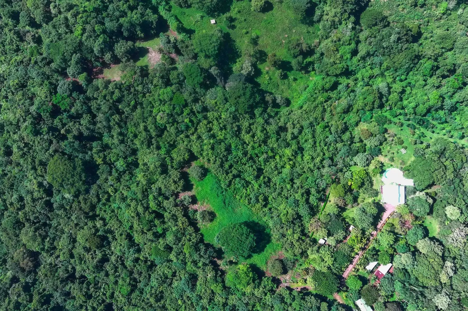 Garabito Land: 4-Acre Lot in Eco Desarrollo Community - image 2